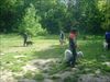 DSCF4300.JPG