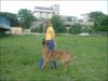 DSCF4423.jpg