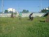 DSCF4481.JPG