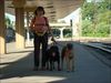 normal_DSC01160.jpg